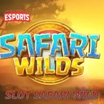 Safari Wilds