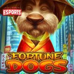 Fortune Dogs: Sensasi Cuan Meledak yang Bikin Saldo Melonjak!