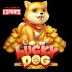 Dulu Digonggongin, Sekarang Dibayarin! Kisah Lucky Dog Slot!