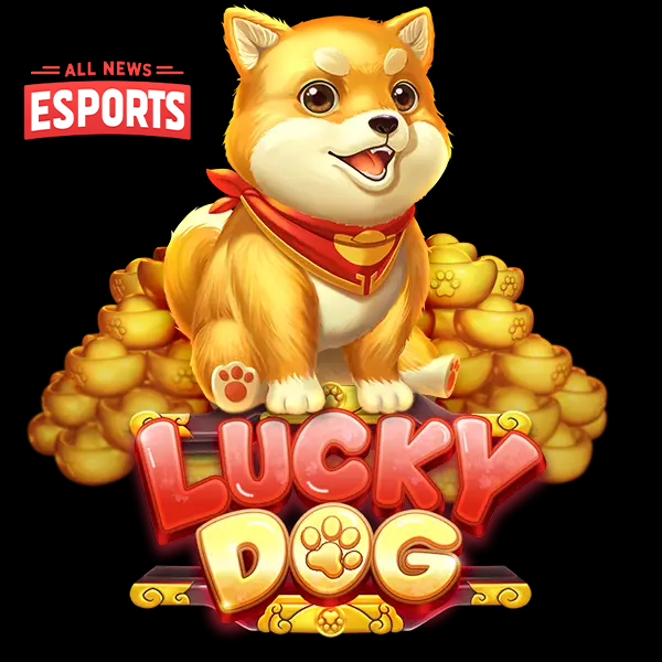 Dulu Digonggongin, Sekarang Dibayarin! Kisah Lucky Dog Slot!