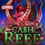 Ccnnslot 8 Keunikan Cash Reef yang Mencuri Perhatian