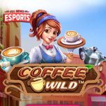 Link Gacor Coffee Wild Alur Permainan2 yang Tersembunyi