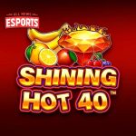 Slot Gacor Konsep Dasar Gameplay Shining Hot 40!