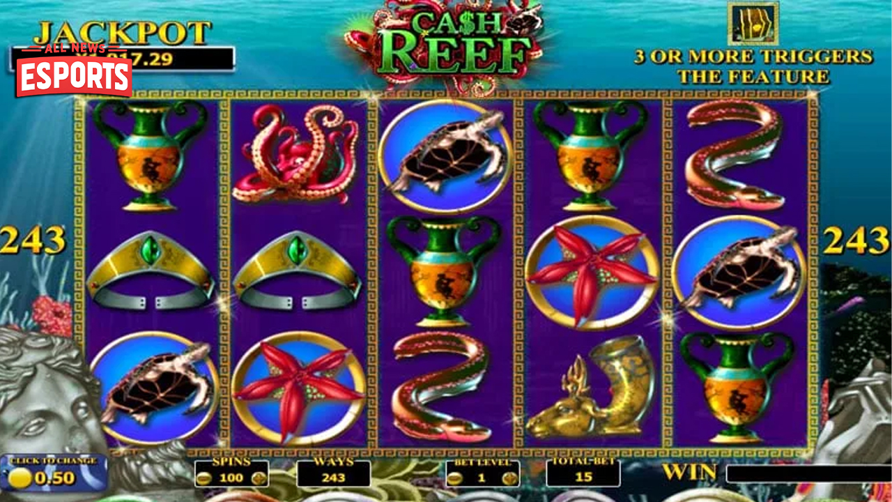 Ccnnslot 8 Keunikan Cash Reef yang Mencuri Perhatian