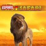 Login Rtp8000 di Hot Safari Auto Roar atau Auto Cantik