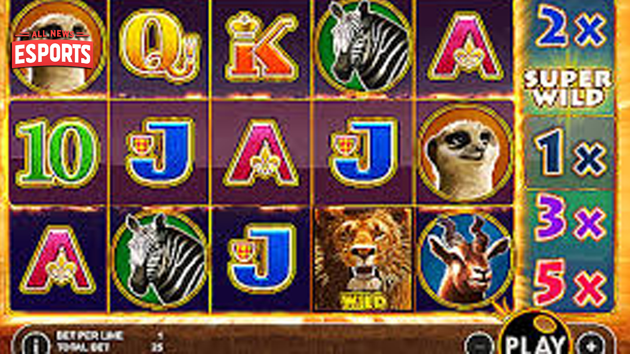 Login Rtp8000 di Hot Safari Auto Roar atau Auto Cantik