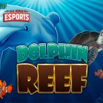 Dolphin Reef Cnnslot Slot 3 Damai Aktif Laut Biru