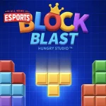 Block Blast 1 Game, 1000 Ledakan Warna & Logika