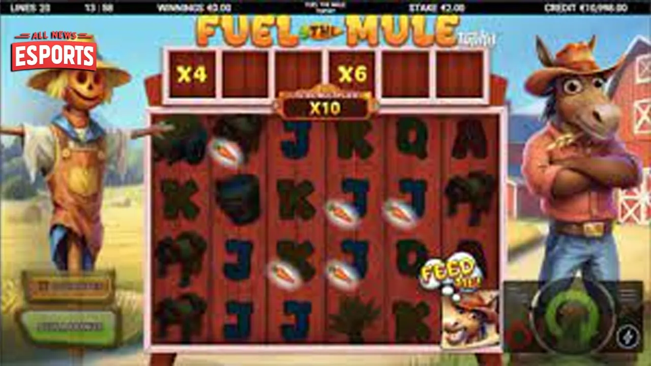 Fuel The Mule, Rasane Koyo Numpak 4 Kuda Hidup