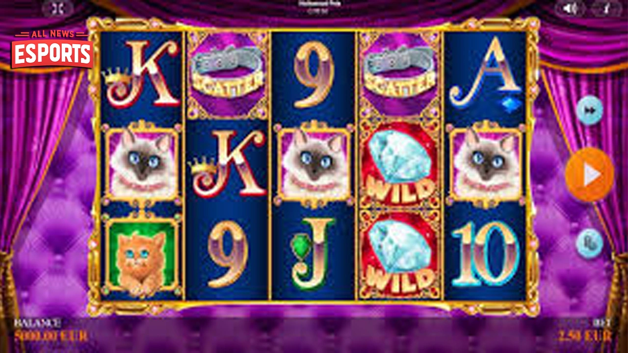 Dekorasi Hollywood Pets 300 Kandang Mewah