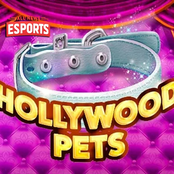 Dekorasi Hollywood Pets 300 Kandang Mewah