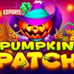 Pumpkin Patch 20 Ajang Pembuktian Petani Jagoan