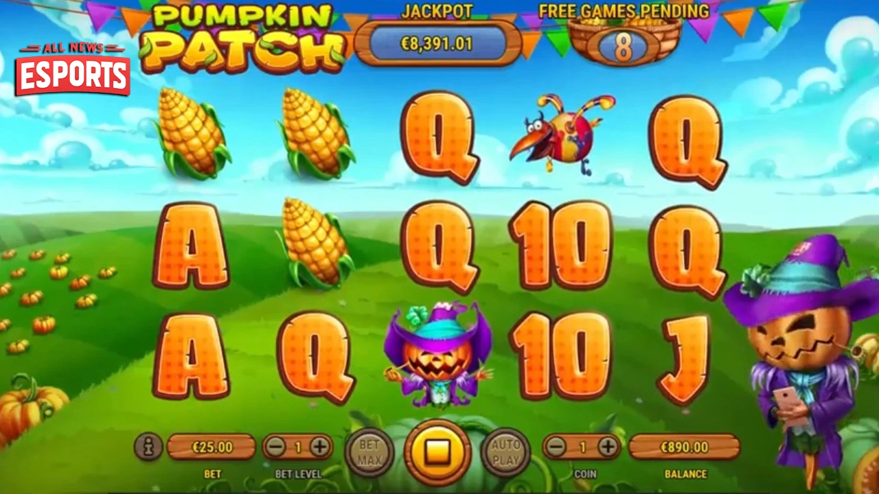 Pumpkin Patch 20 Ajang Pembuktian Petani Jagoan