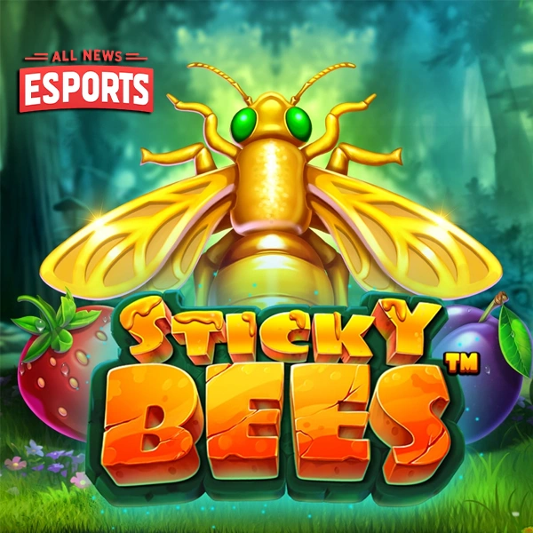 Keunikan Sticky Bees yang 12 Memukau Berlapis-lapis