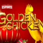 Golden Chicken Langsung dari 2 HP Kamu