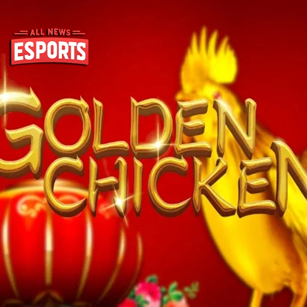 Golden Chicken Langsung dari 2 HP Kamu